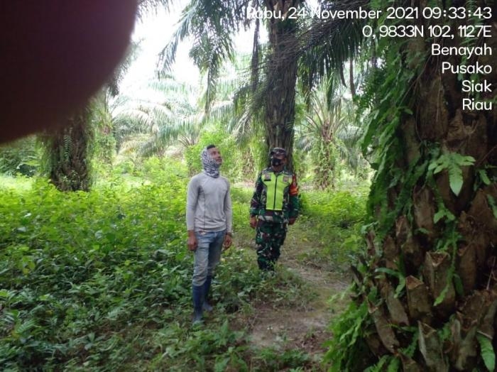 Agar Situasi Lingkungan Tetap Kondusif, Serda Sabam Manurung Giat Lakukan Patroli